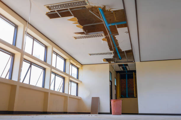 Best Water damage cleanup near me  in Ocean Pointe, HI