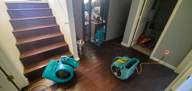 Best Water damage restoration near me  in Ocean Pointe, HI