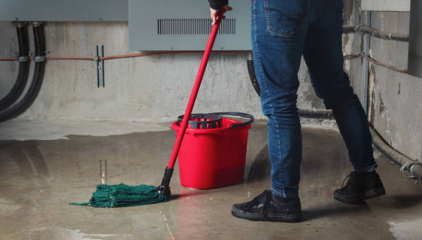 Best Water damage restoration experts  in Ocean Pointe, HI