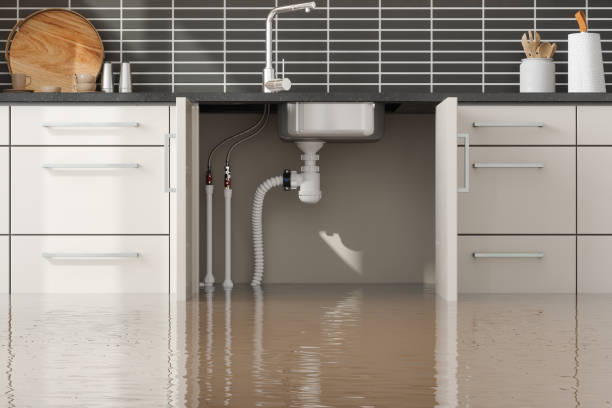 Best Sewage cleanup and water damage restoration  in Ocean Pointe, HI