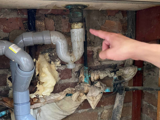 Best Ceiling water damage repair  in Ocean Pointe, HI