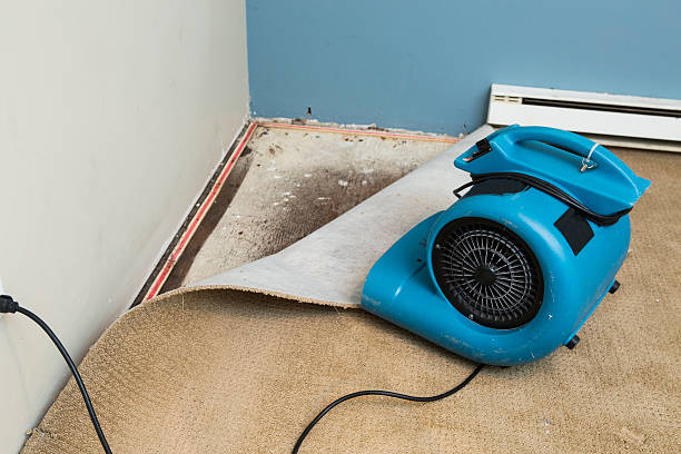 Best 24-hour water damage restoration  in Ocean Pointe, HI